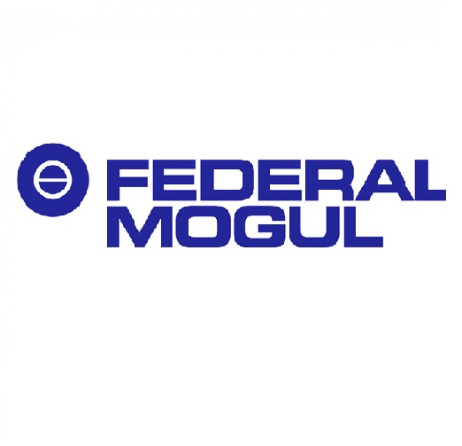 Federal Mogul